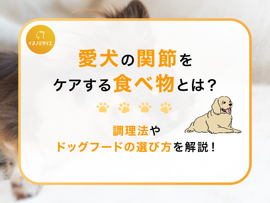 愛犬の関節をケアする食べ物とは?調理法やドッグフードの選び方を解説!