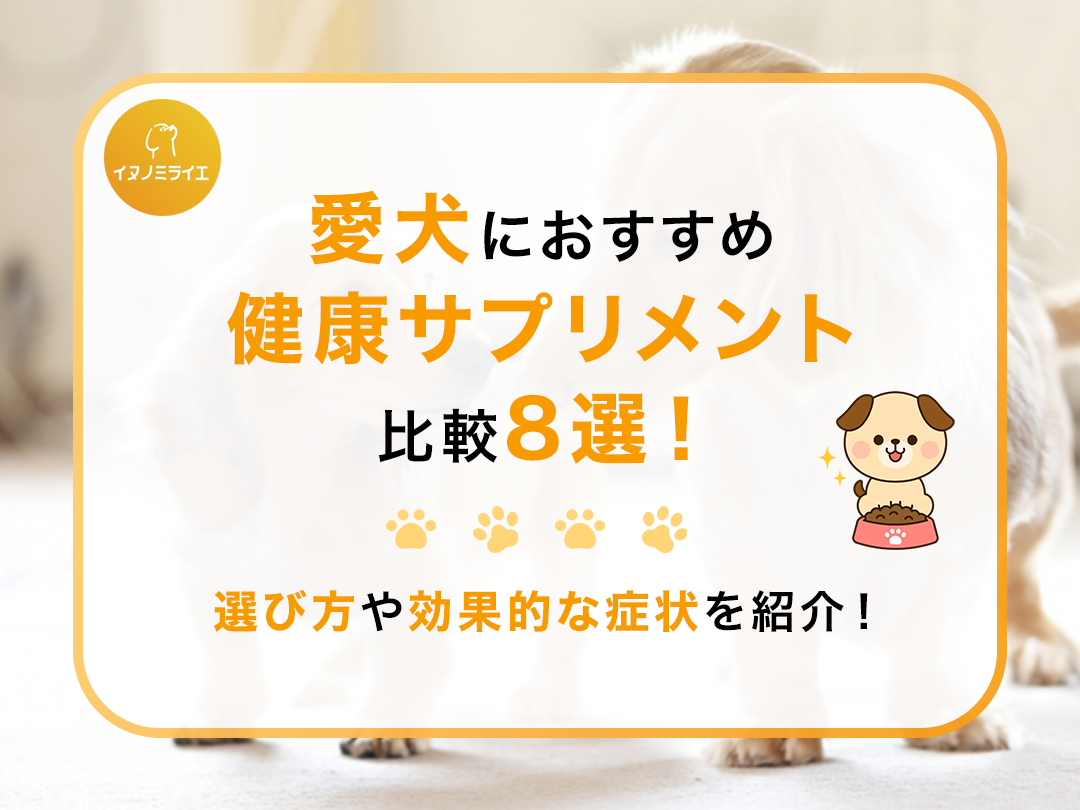 愛犬におすすめ健康サプリメント比較8選!選び方や効果的な症状を紹介!