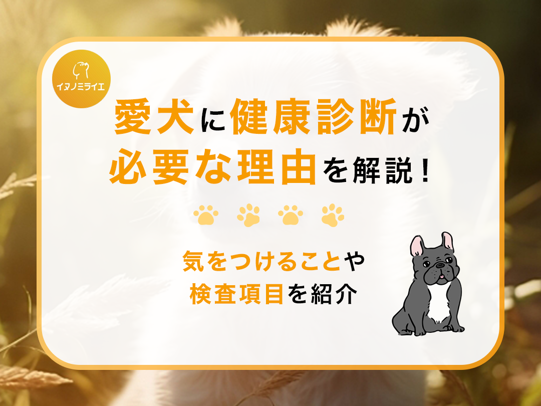 愛犬に健康診断が必要な理由を解説!気をつけることや検査項目を紹介