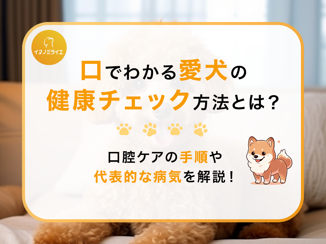 口でわかる愛犬の健康チェック方法とは?口腔ケアの手順や代表的な病気を解説!