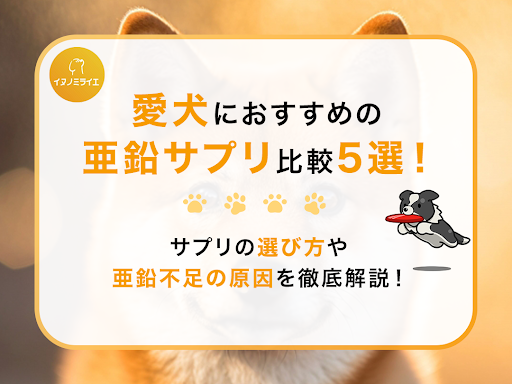 愛犬におすすめの亜鉛サプリ比較5選!サプリの選び方や亜鉛不足の原因を徹底解説!