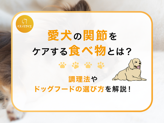 愛犬の関節をケアする食べ物とは？調理法やドッグフードの選び方を解説！